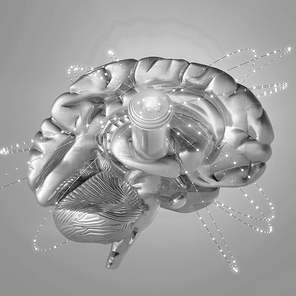 3d brain